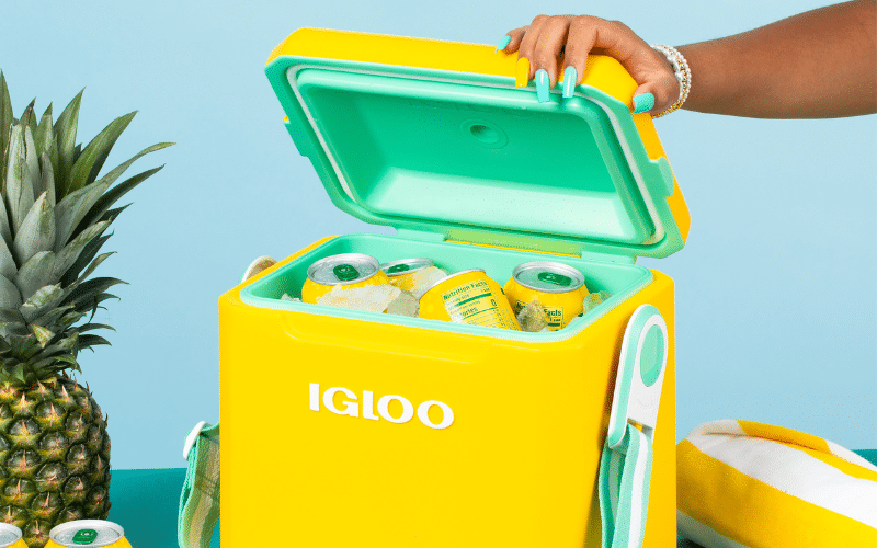 ‘Tag Along Too’ Coolers for Outdoor Fashion